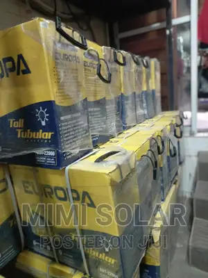 220 Arms Europa Tubular Battery