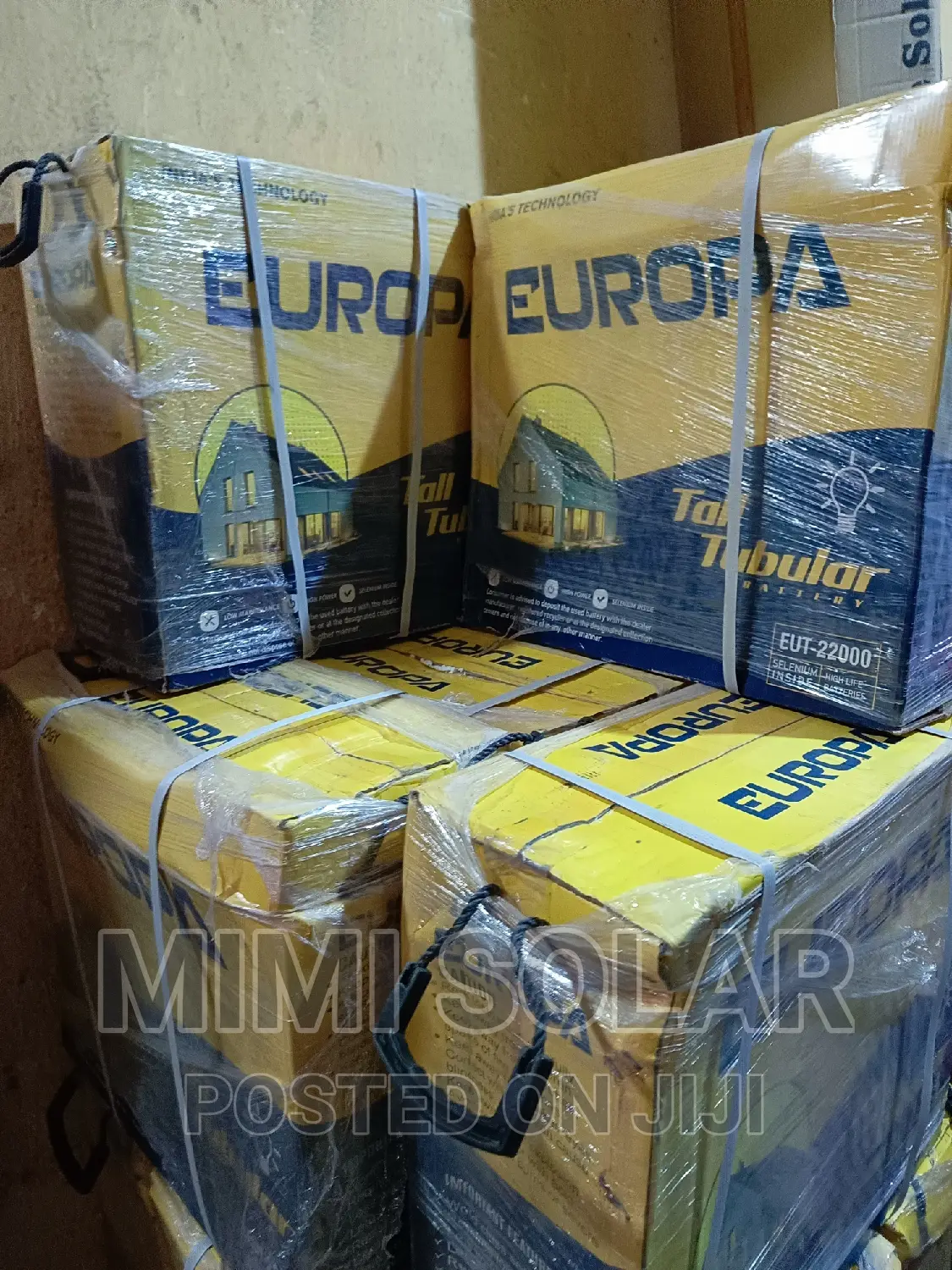 Original Europa Tubular Battery