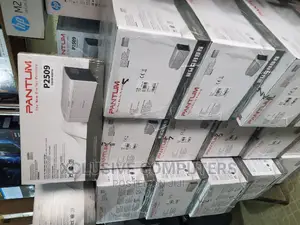 Pantum Laser Printer P2509