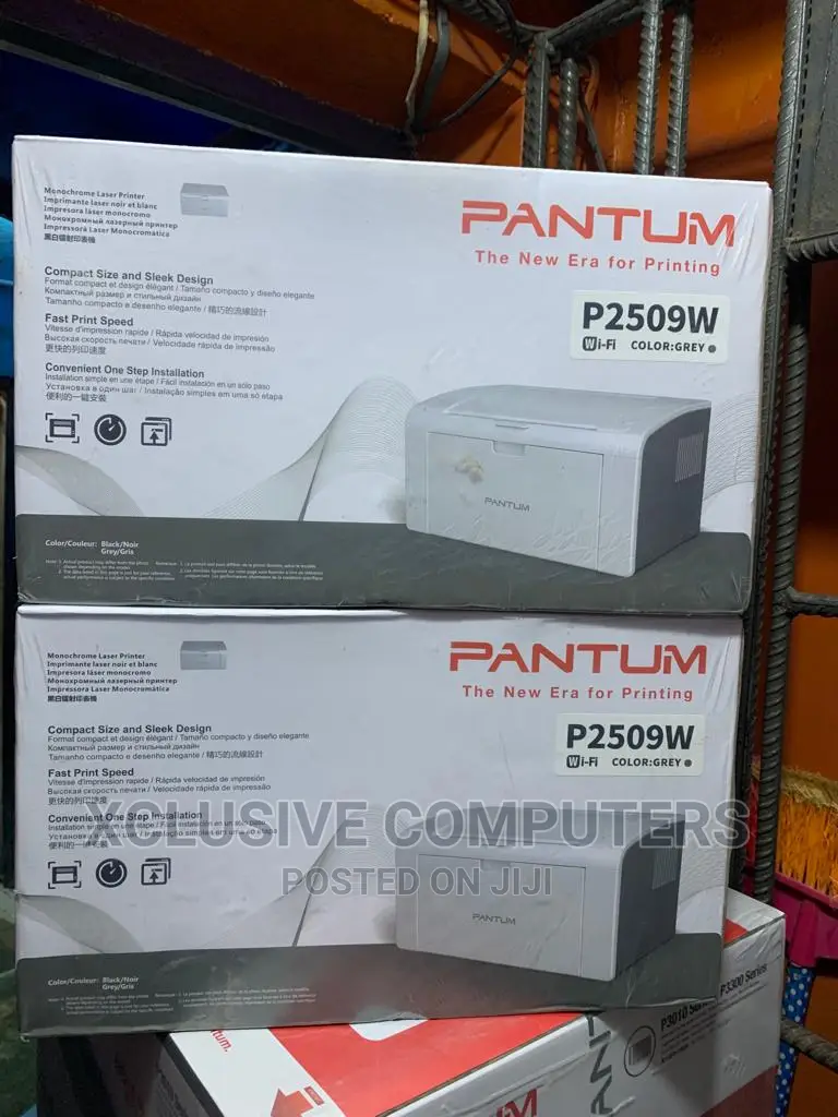 Pantum Laserjet Printer P2509W