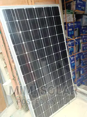 Original 300 Watts Mono Canadian Panel