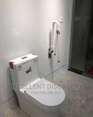 Handicap Toilet Seat