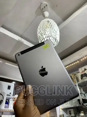 Apple iPad mini 2 32 GB Gray
