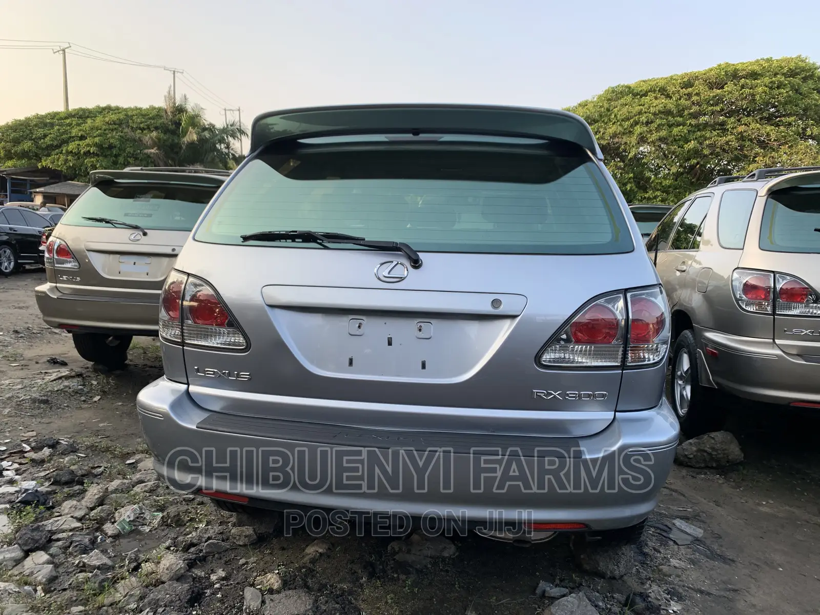 Lexus RX 300 4WD 2004 Silver