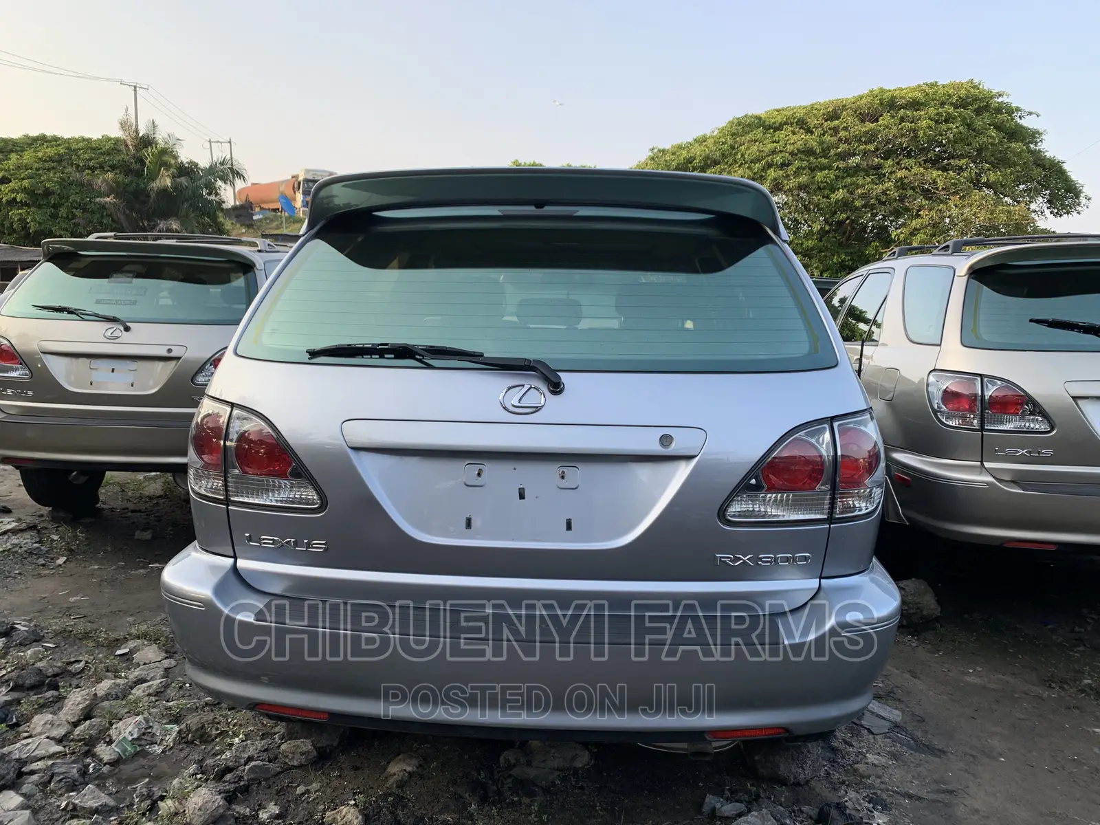 Lexus RX 300 4WD 2004 Silver