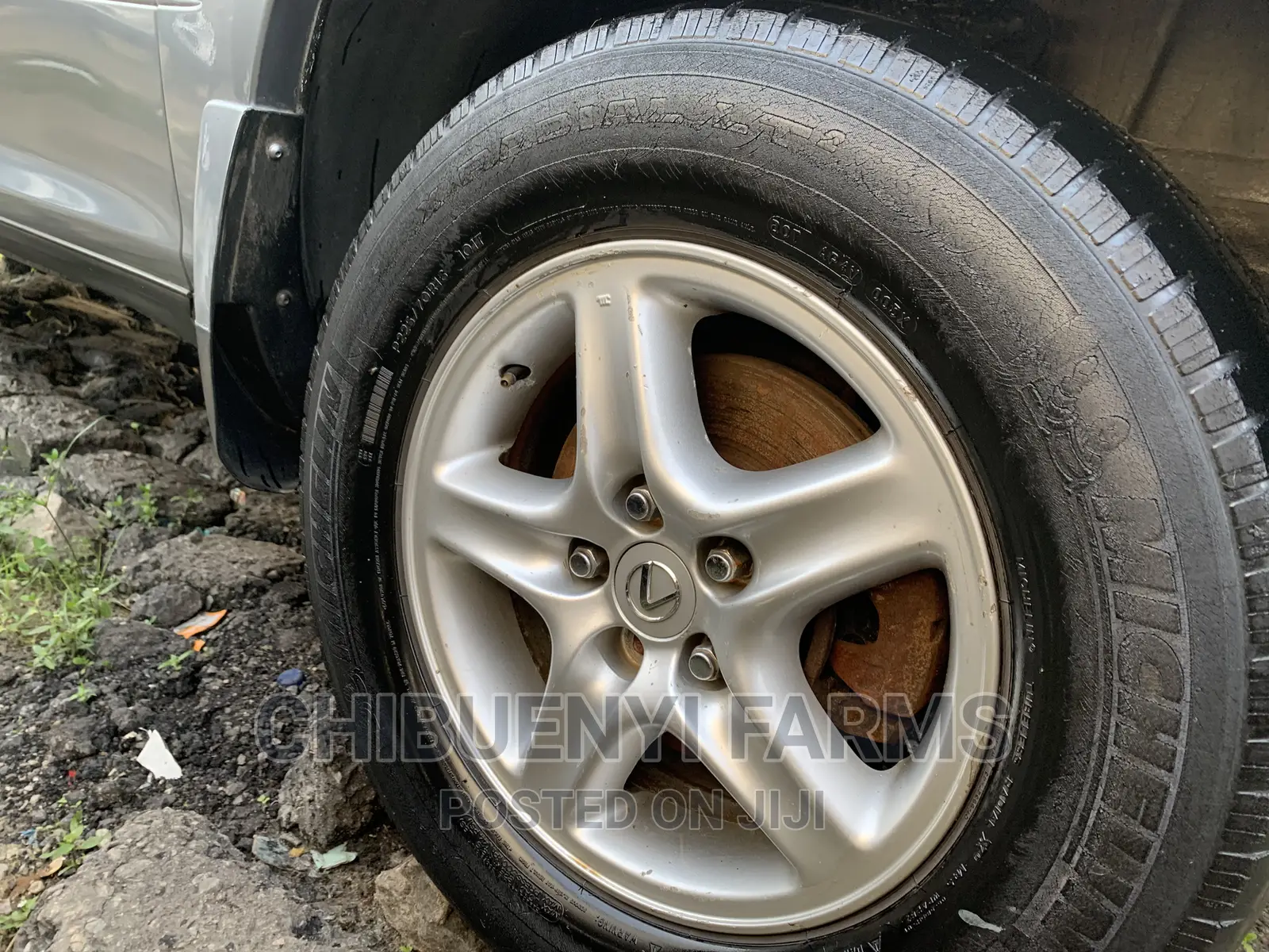 Lexus RX 300 4WD 2004 Silver