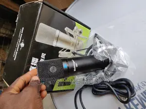 Birdsinger U87 Studio Mic