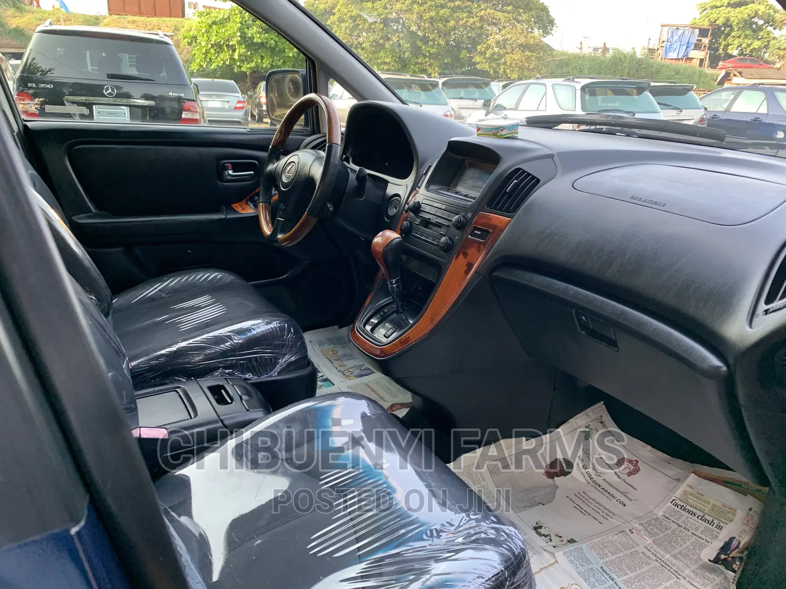 Lexus RX 2003 Blue