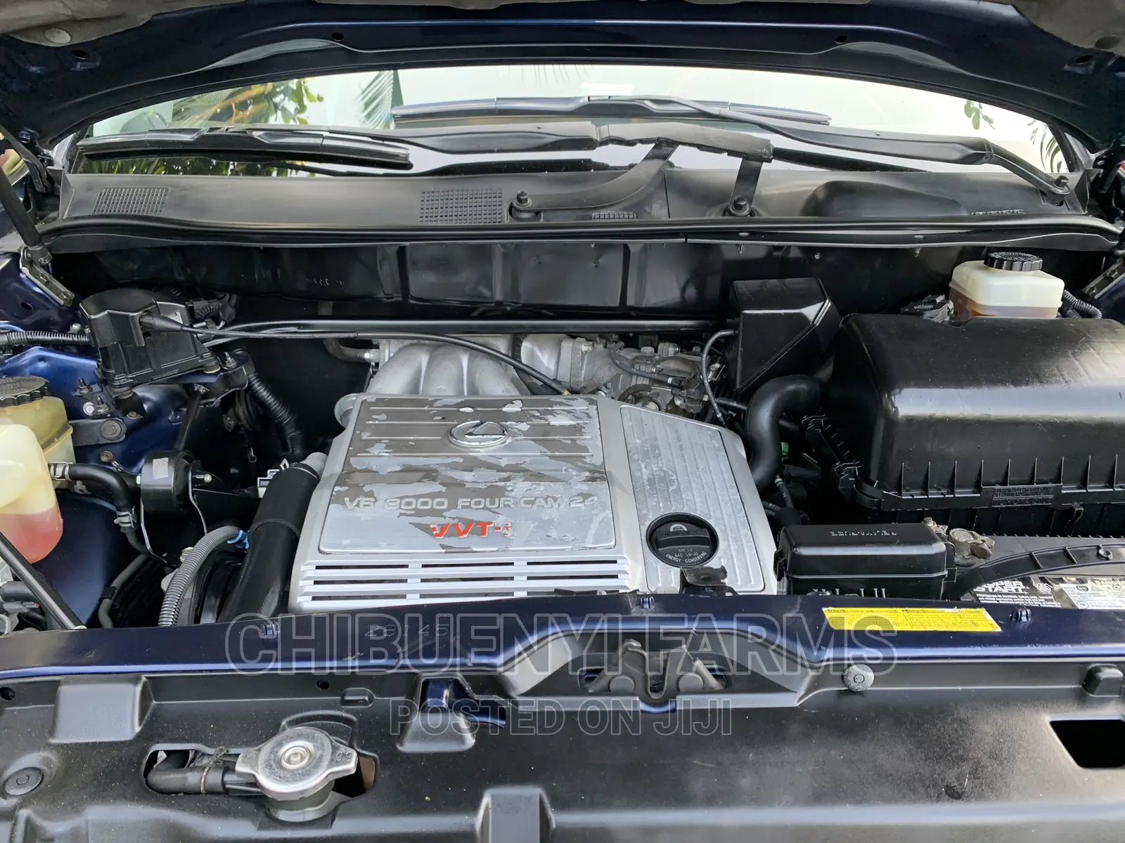 Lexus RX 2003 Blue