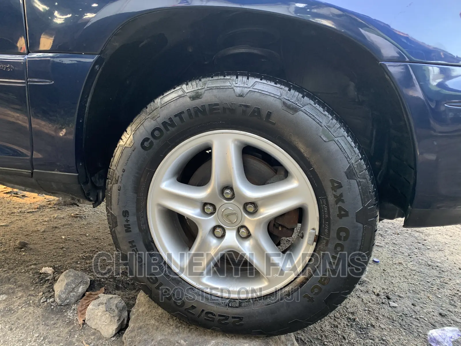 Lexus RX 2003 Blue
