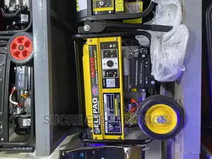 4.5kva Elepaq Constant Petrol Generator Full Copper