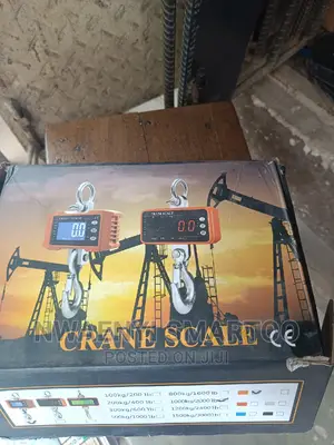 Crane Scale 1ton