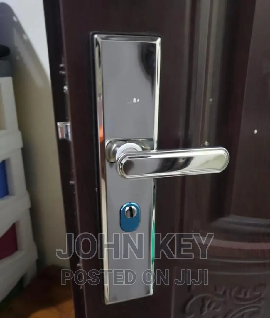 Stainless Steel Handle for Imported Doors