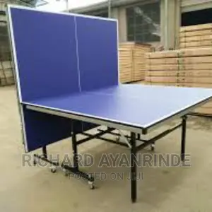 Foldable Indoor Tennis Table