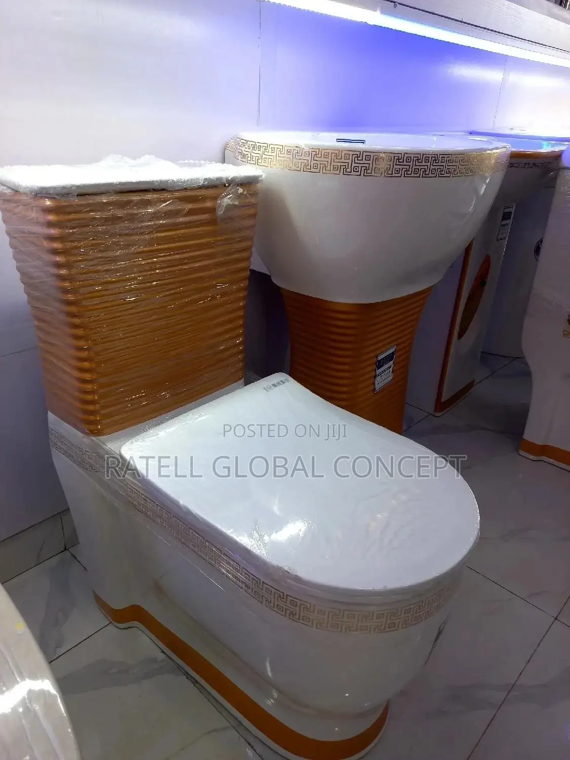 Executive Design Toilet