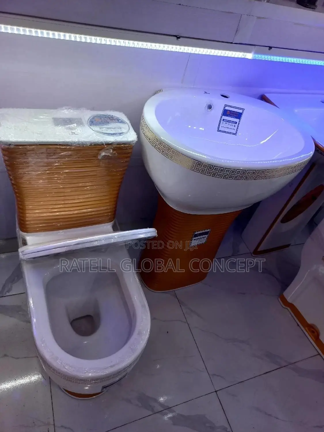 Executive Design Toilet