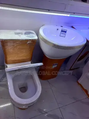 Executive Design Toilet