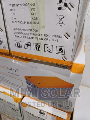 200 Arms Felicity Dry Cell Battery