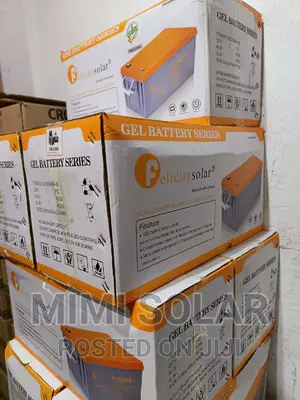 Felicity 200 Arms Dry Cell Battery