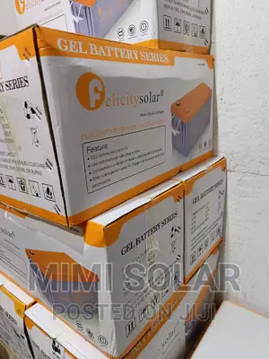 Original 200 Arms Felicity Dry Cell Battery