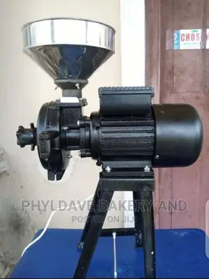 Wet and Dry Spice Grinder