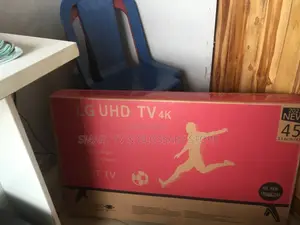 LG 45 Inches With Breathtaking Visuals TV