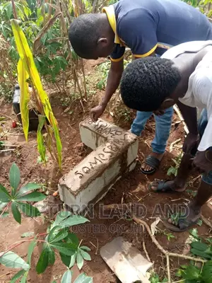 4 Plots of Land Available for Sale Beside Lauthec Iseyin