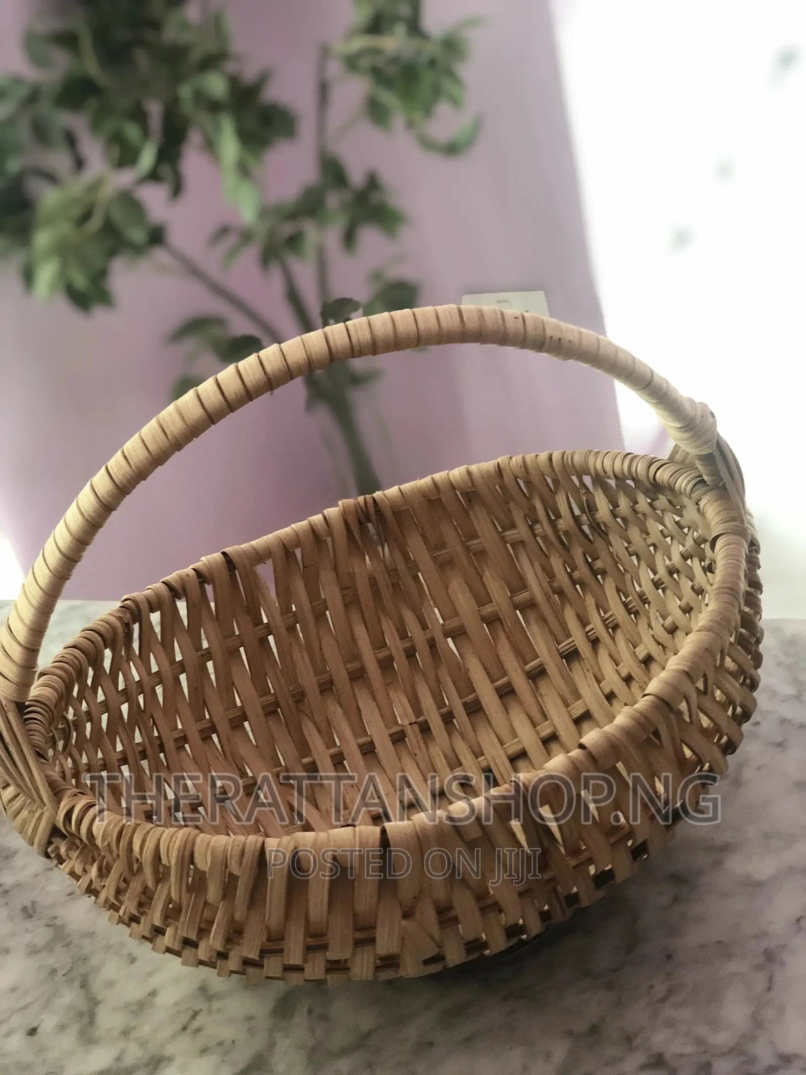 Eggshape Carrier Basket