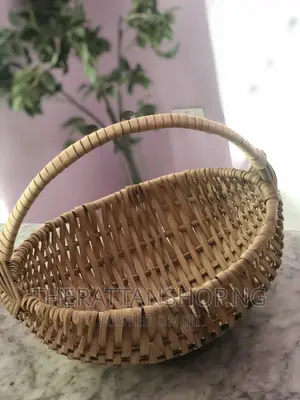 Eggshape Carrier Basket