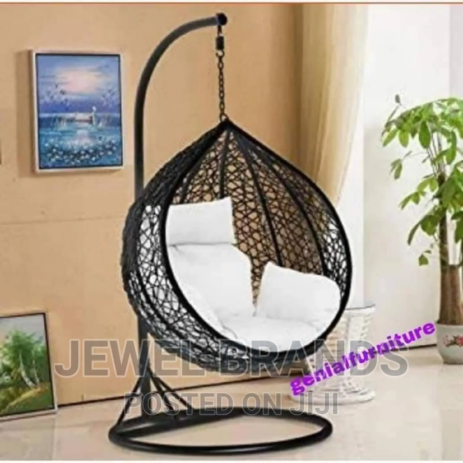 Basket Swing/Hammock