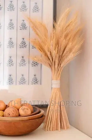 Decorative Pampas Grass