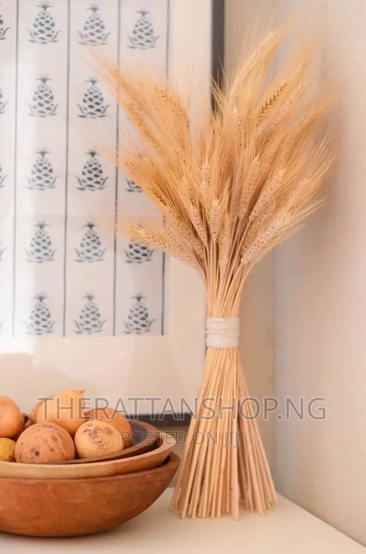 Decorative Pampas Grass
