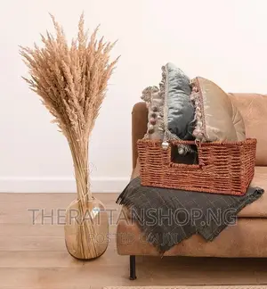 Decorative Pampas Grass