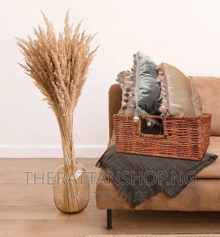 Decorative Pampas Grass
