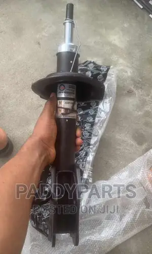 Ford Edge Shock Absorber (2008-2014)