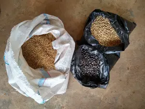 Livestock Pasture: Brachiaria Grass and Leguminous Seeds