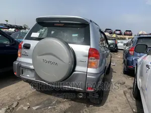 Toyota RAV4 2.0 4x4 Executive 2004 Silver