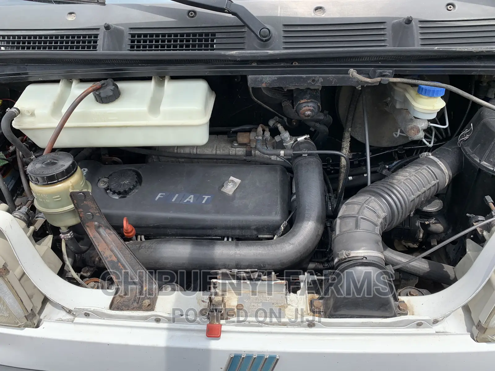 Fiat Ducato 1999 White