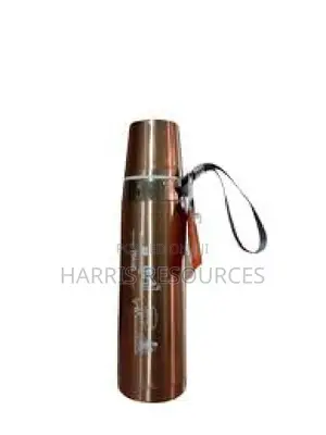 Stainless Steel Water Flask
