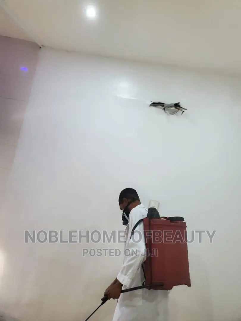 Everyday Cleaning and Fumigation