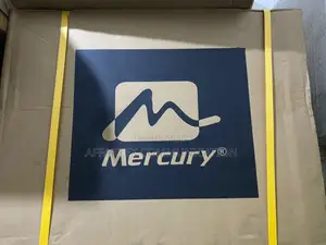 3000 Watts Mercury Ups