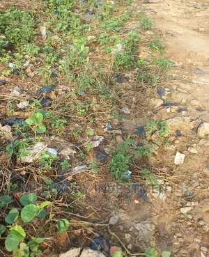 Industrial Land Selling Hot at Lagos Ibadan Express Way.
