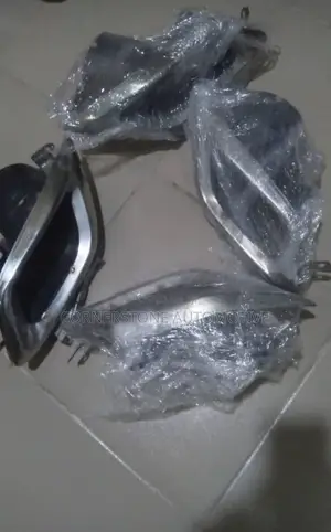 Exust Chrome Rx 350 2018