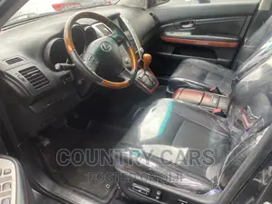 Lexus RX 330 2004 Gray