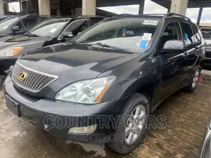 Lexus RX 330 2004 Gray