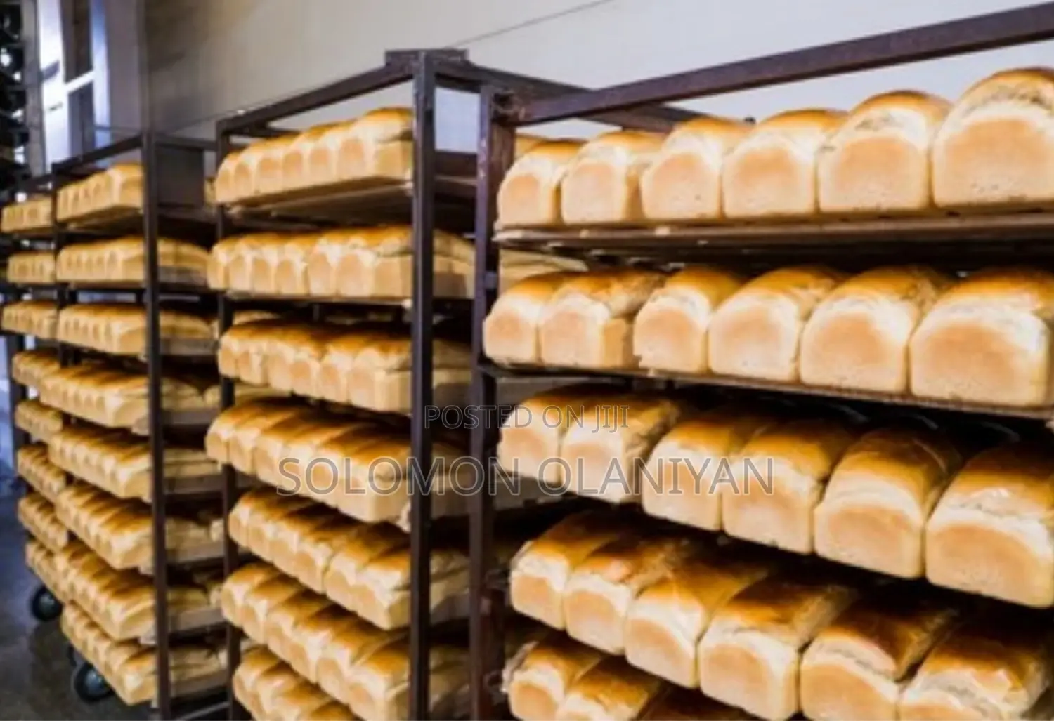 Qualified Bread Solution Personal and Pastry Chef