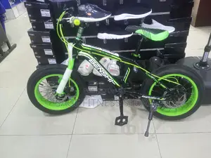 Size 16 Fat Tire (Spoke Wheels) Benshi Bike