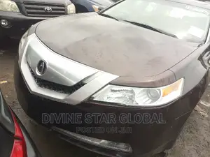 Acura TL Automatic SH-AWD 2009 Brown