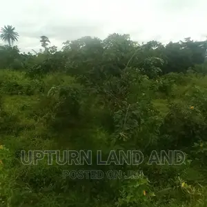 Land for Sale 800 Acres in Abekuta 3 Minutes Drive to M.Road