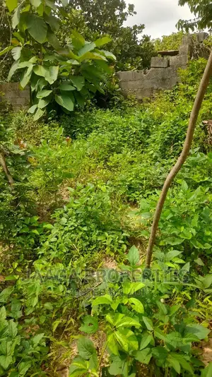 Wasa Private Housing Estate Plot for Distress Sale